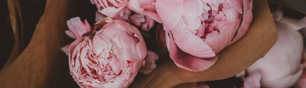 Quốc Hưng Nguyễn Trần