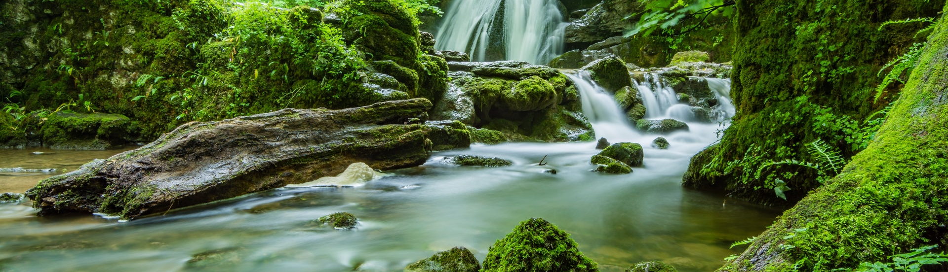 nguyễn hoàng phương vy