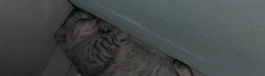 nguyễn hương giang