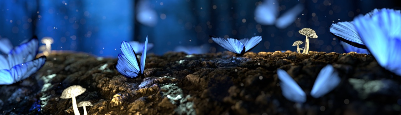 Quỳnh Như Nguyễn Phạm