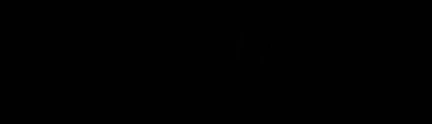 Tống Nguyễn Hồng Ngọc