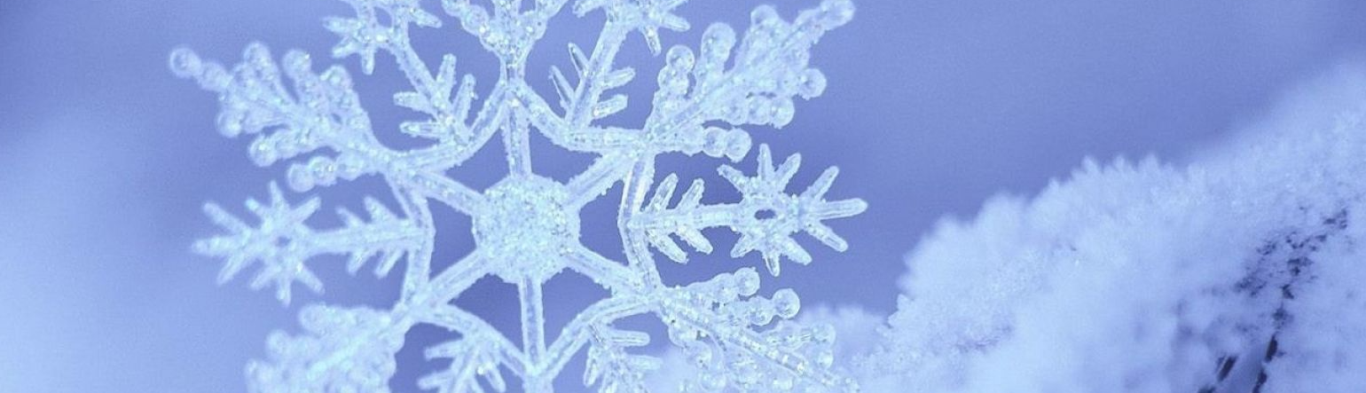 36- Quản Minh Thành