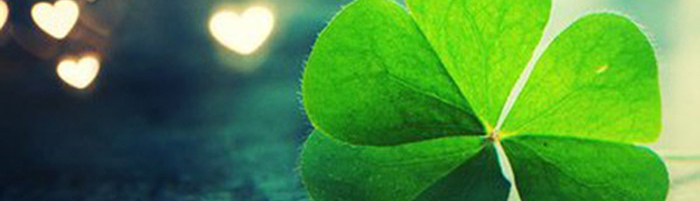 Bạch Băng Dương