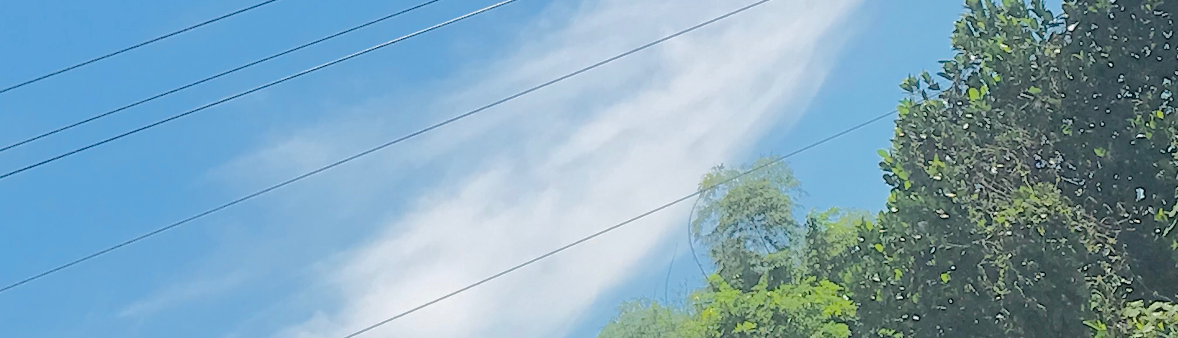 Bạch Băng Dương