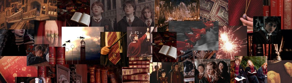 Liian_potterhead