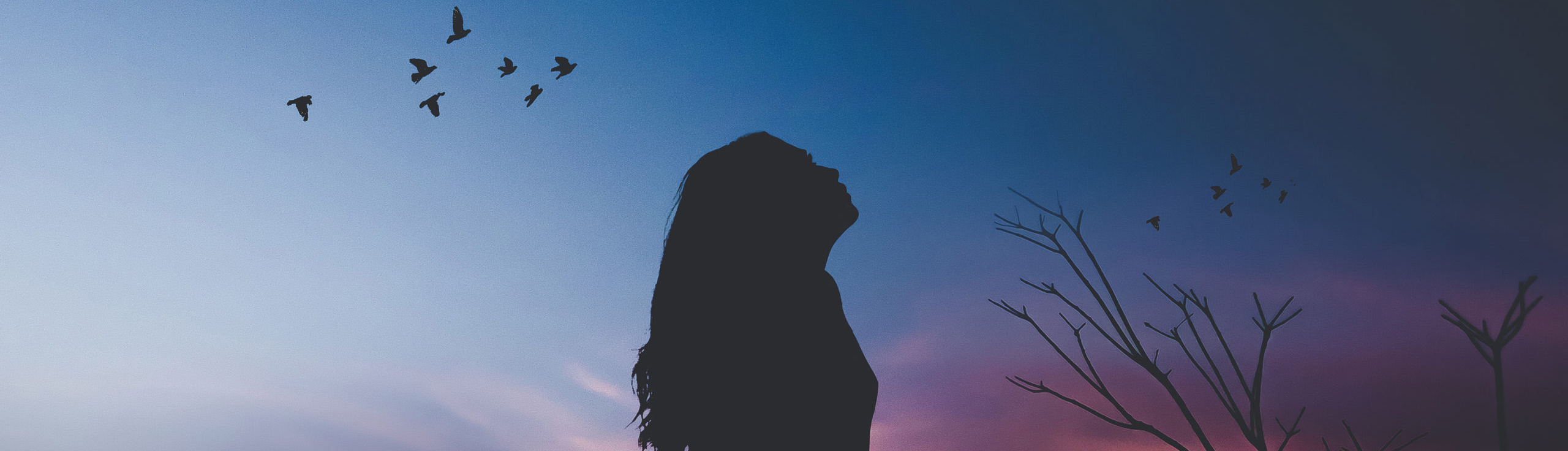 ꧁༺Á๖ۣۜC๛๖ۣۜQ๖ۣۜUỷ༻꧂