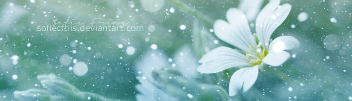 nguyễn thị thu phương