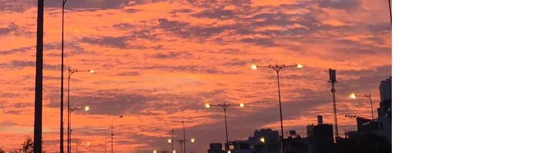 Nguyễn Ngô Hồng Anh