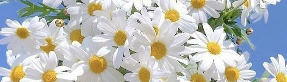 tuechi ヾ(•ω•`)o🖤🖤🖤🖤