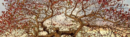 Nguyễn Thị Quỳnh❤❤❤