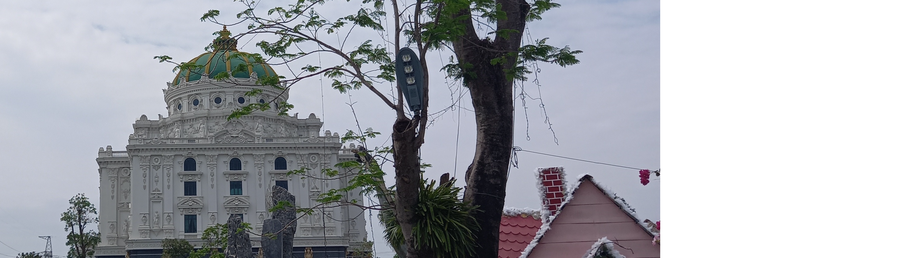 Phượng Vũ