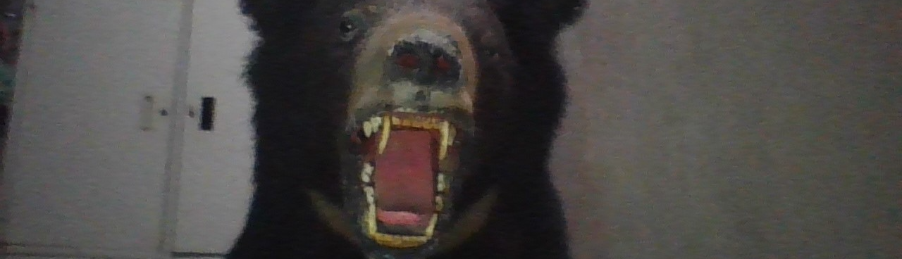 phạm hoàng thiên