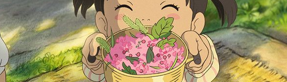 Thảo Vy Phan Thị