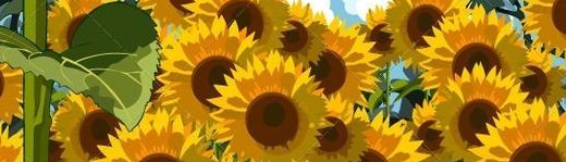 Lê Nguyên Hoài Thương