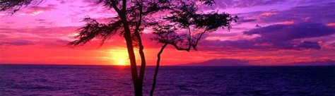 Trần Thị Thu Hiền