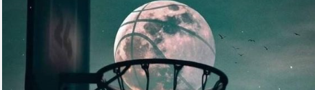 lê nguyễn trường đan