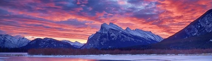 Đỗ Trần Phương Uyên