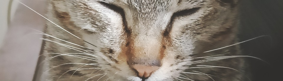 Nguyễn Thị Thùy Dương