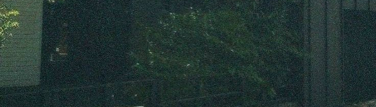 𝘔𝘪𝘯𝘩𝘩       𝘒𝘩𝘢𝘯𝘨𝘨