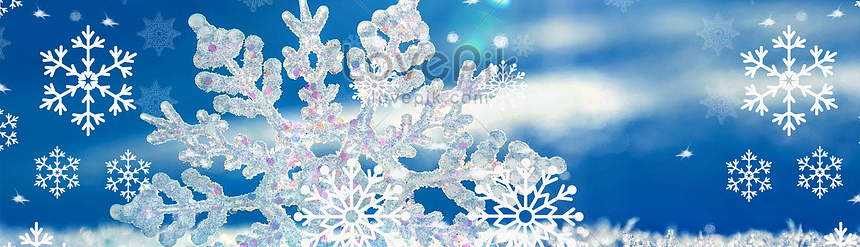 Dương Tuyết Lệ