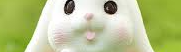 Thỏ cute