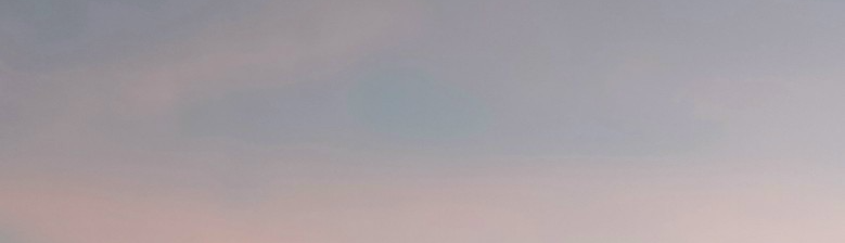 Nguyễn Ngọc Trâm Anh