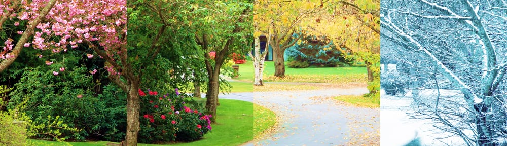 Đừng hỏi tên của tôi