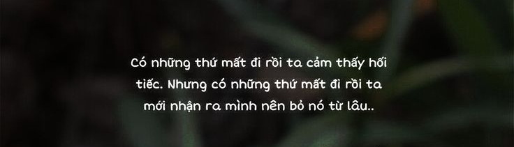thuan le