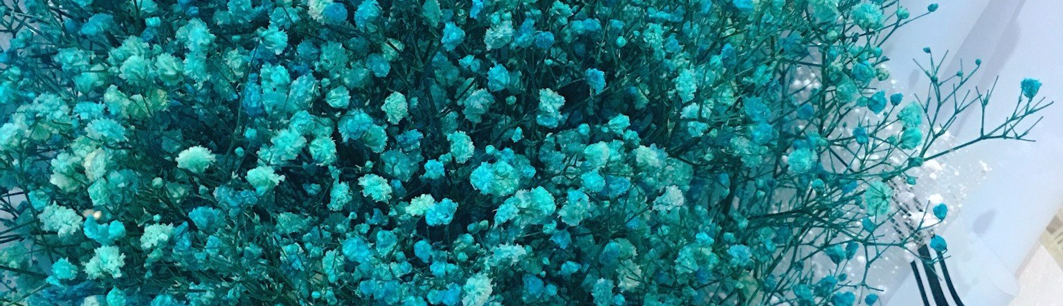 𝓓𝓳 𝓛𝔂𝓶𝓶