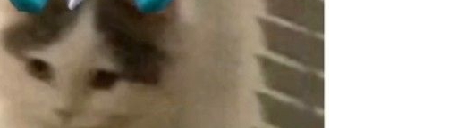 ✎﹏Kim Kim✧❤‿✶🌈(*•.¸♡ţęąɱ ƒŗęę ƒįŗę❤☆)+(M A S T E R🍎)