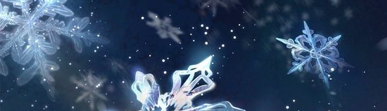 Bùi Nguyễn Đại Yến