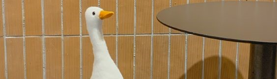 Diệu Linh Đinh Trần