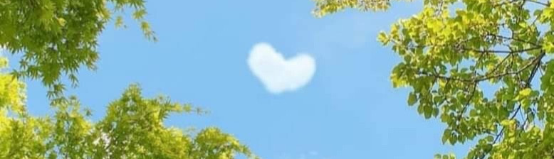 Lê Thị Hồng Thúy