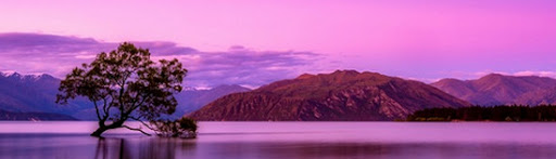 Nguyễn Ngọc Trâm Anh