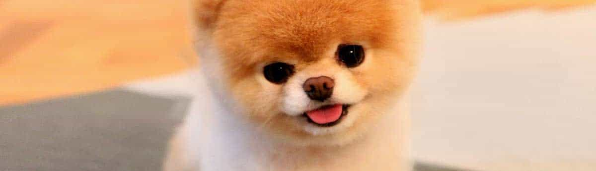 lê phương thủy