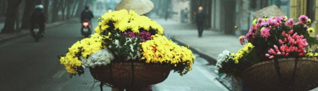 Hồ Hữu Trường