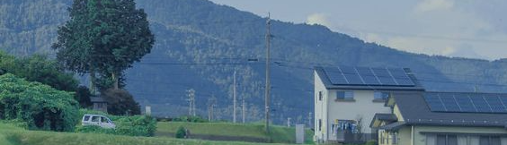 Nguyễn Thùy Dương