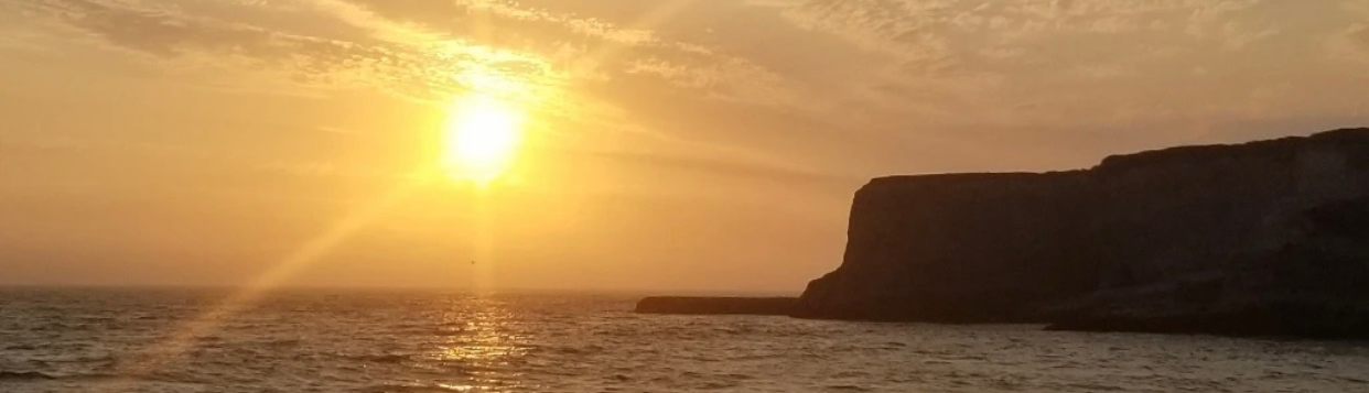 Nguyễn Thanh Tùng