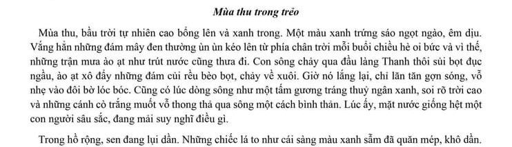 Tâm Như