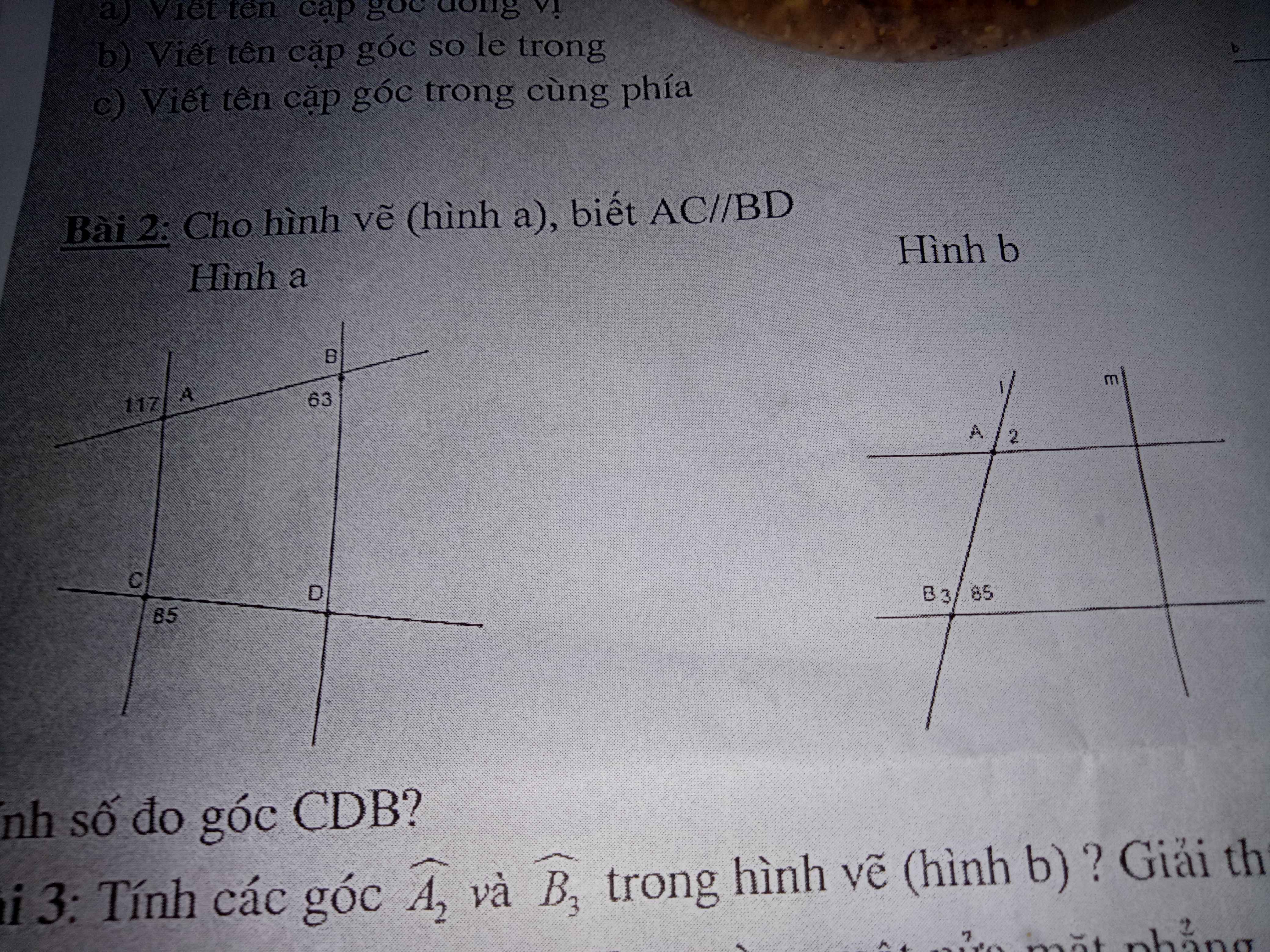 Bài 2 Cho hình vẽ (hình a), biết AC//BD. Tính số đo góc CDB - Hoc24