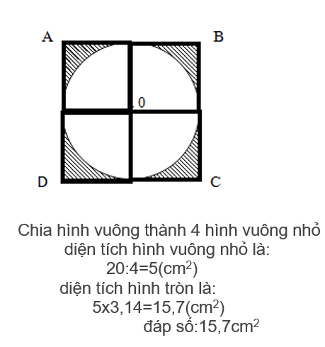 Cách tính diện tích hình tròn và chu vi hình tròn  Cấp 2 Thống Nhất