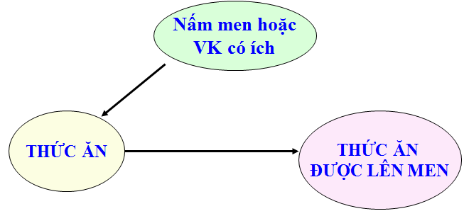 Ứng dụng công nghệ vi sinh - SBIO Vietnam