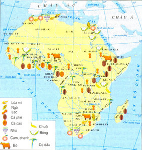 Quan sát hình 30.1, nêu sự phân bố các cây công nghiệp chính ở châu Phi - Hoc24