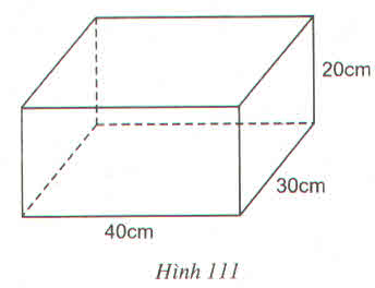Một hình chữ nhật có các kích thước như hình 111 Để xếp kín hình ...