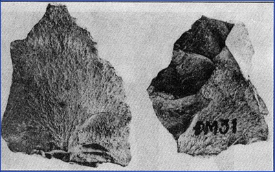 Rìu tay của người tối cổ được tìm thấy ở Núi Đọ (Thanh Hóa)