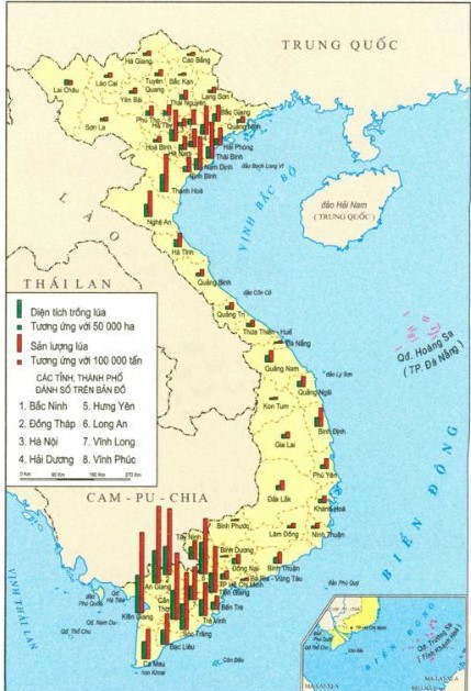 Olm là một loài động vật lạ thường với những đặc điểm độc đáo. Cùng xem các hình ảnh liên quan để khám phá và tìm hiểu sự đa dạng của sinh vật trên trái đất chúng ta!