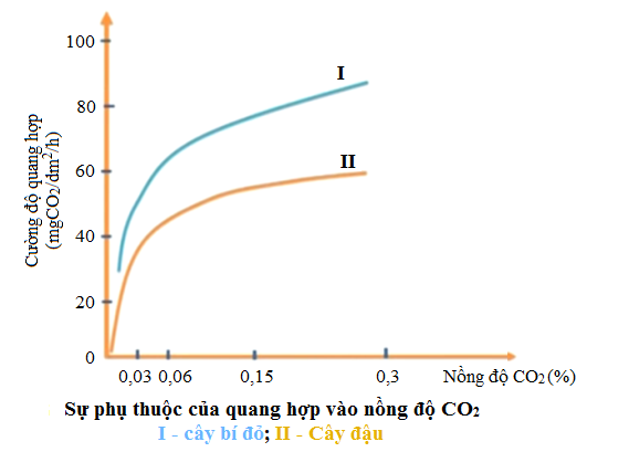 Đồ thị thể hiện ảnh hưởng của nồng độ khí CO2  olm